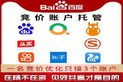 SEM竞价托管服务，成功案例展示转化成果